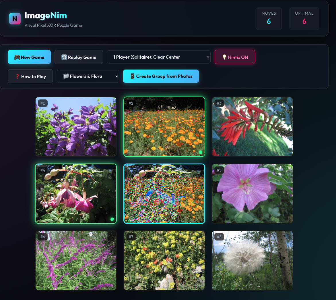 ImageNim Game Interface
